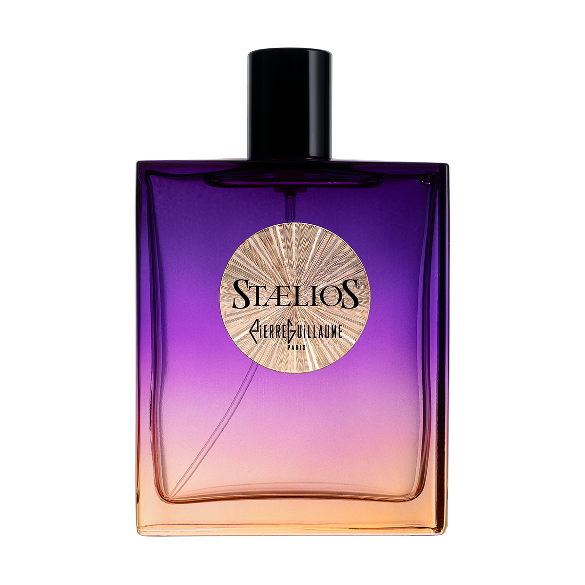 Pierre Guillaume Paris Stælios eau de parfum bottle
